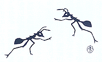 bug062.gif