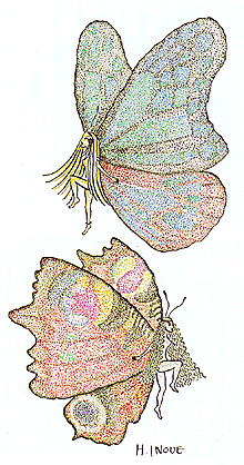 bug09.gif