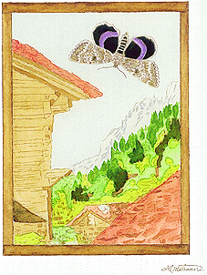 bug102.gif
