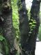 DSC00003.JPG