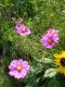 DSC00047.JPG