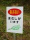 dsc00047.JPG