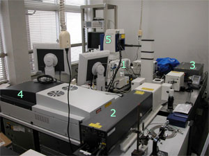 写真：共焦点・2光子レーザー顕微鏡と紫外線レーザーuncaging刺激及び電気生理計測装置