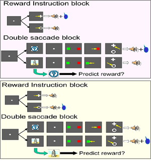 }3-1 ubNƔΏ̕ṼXL[}