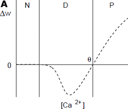 図A 古典的なカルシウム濃度則