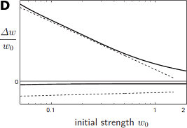 図D 提案した原理に基づくシナプス可塑性モデルが示すSTDPの初期強度依存性と、実験的に観測された初期強度依存性を定性的に描いたグラフ