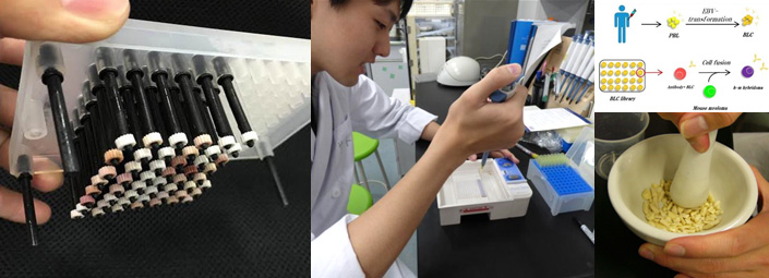 アレルギーを引き起こすタンパク質を調べる抗体反応実験、遺伝子組換え食品の検査