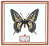 bug04.gif