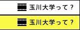 玉川大学って？