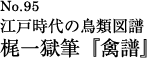 江戸時代の鳥類図譜 梶一獄筆『禽譜』