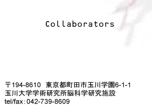 Collaborators