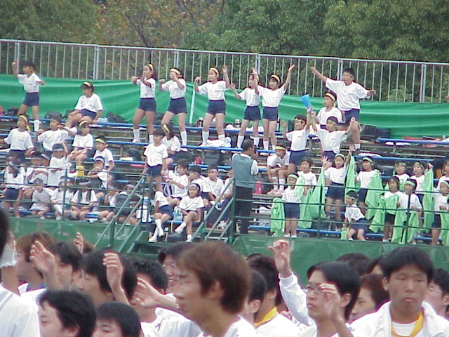 写真
