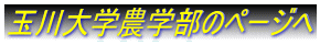 �ʐ��w�_�w���̃y�[�W��