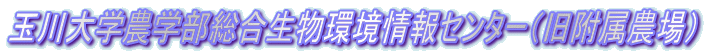 �ʐ��w�_�w���������������Z���^�[�i�������_��j