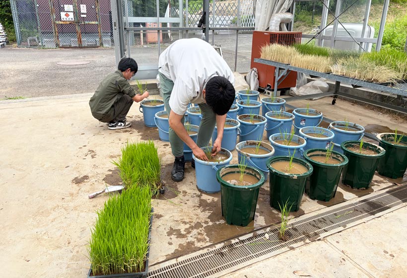 Ecosystem Science