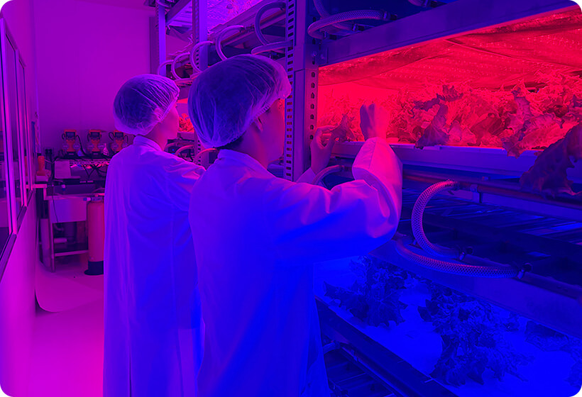 Ecosystem Science