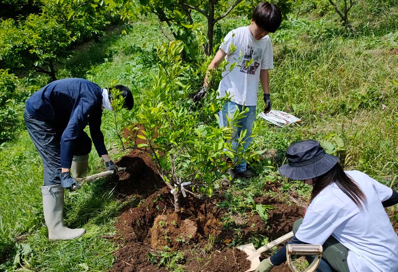Ecosystem Science
