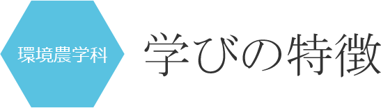 学びの特徴