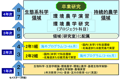 環境農学科の4年間