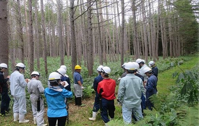 北海道実習(農場実習Ⅱ)