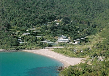 鹿児島実習(農場実習Ⅲ)