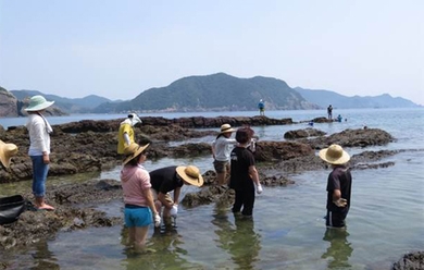 鹿児島実習(農場実習Ⅲ)