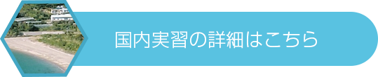 国内実習の詳細はこちら