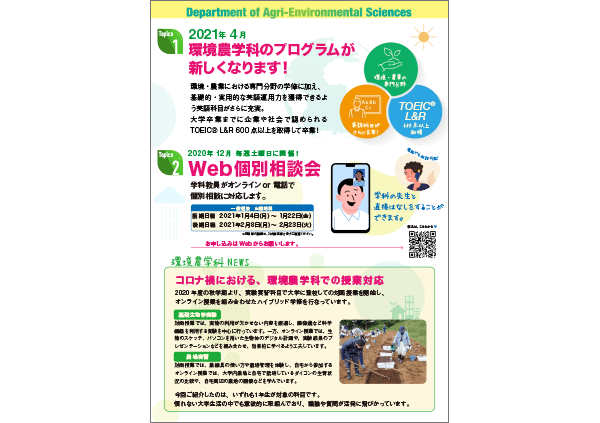 チラシ