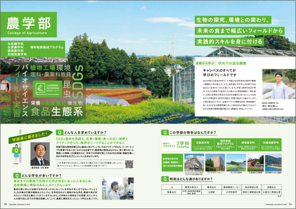 学部案内パンフレット