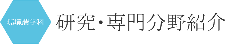 研究・専門分野紹介