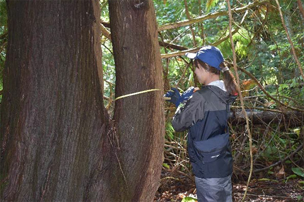 研究調査中の想⽥さん