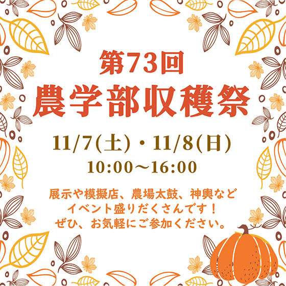 公募制推薦入学試験
