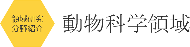 動物科学領域