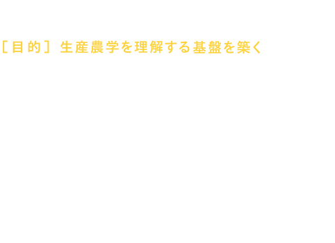 学習システム 1学修