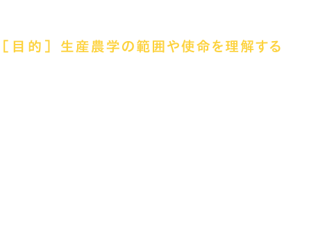 学習システム 2学修