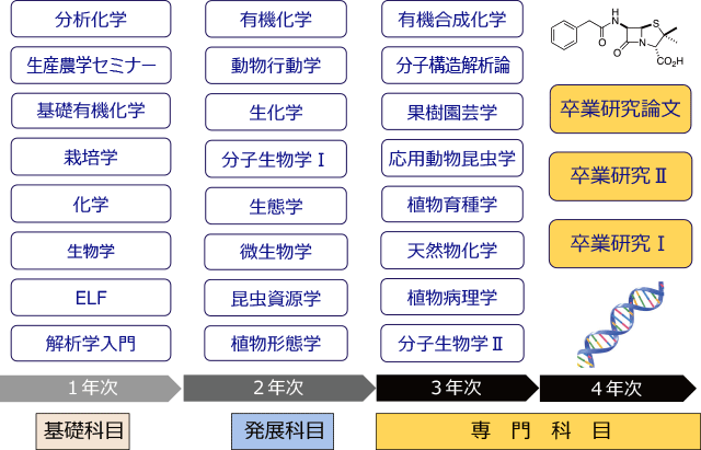各学年のおもな科目