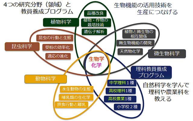 研究領域紹介