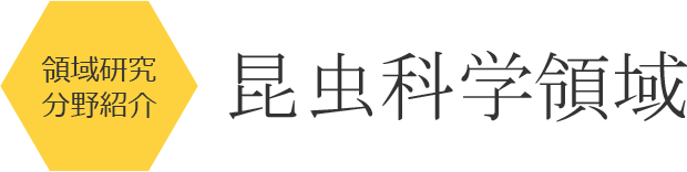 昆虫科学領域