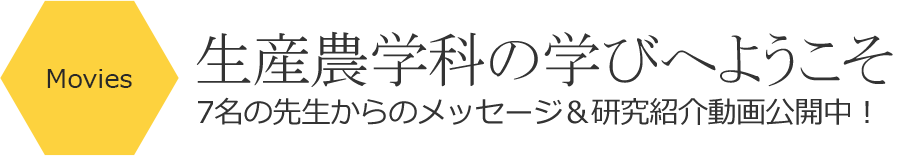 研究を動画で紹介