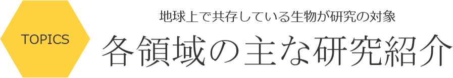 各領域の主な研究紹介