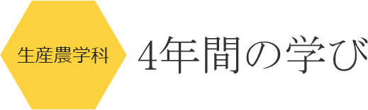 4年間の学び