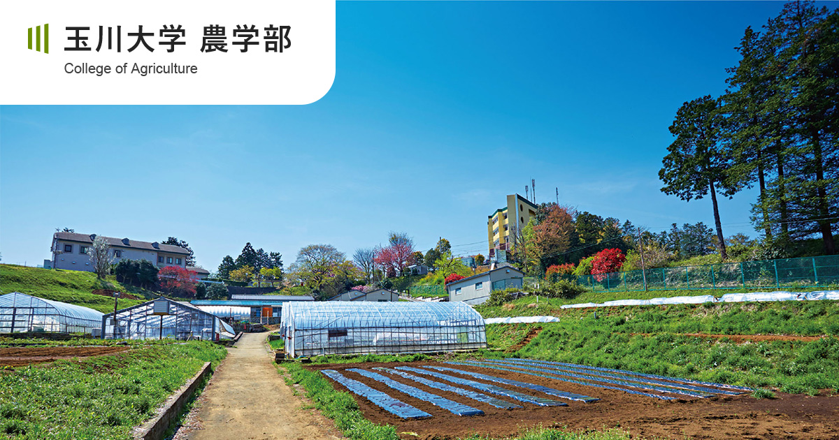 玉川大学農学部