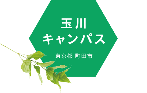 玉川大学農学部 玉川大学農学部