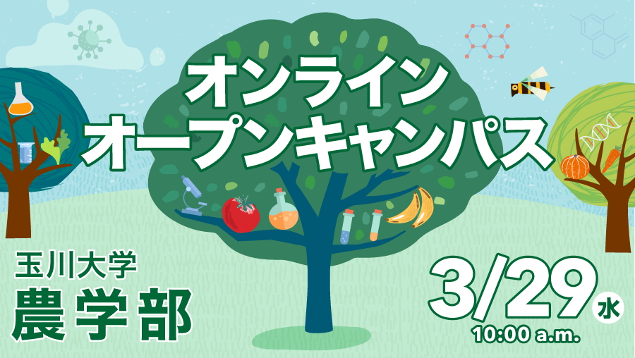 2023年3月29日オンラインオープンキャンパス