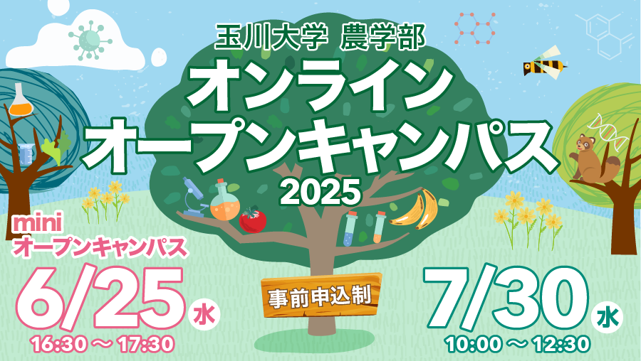 オンラインオープンキャンパス