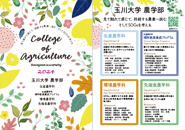 学部学科案内パンフレット