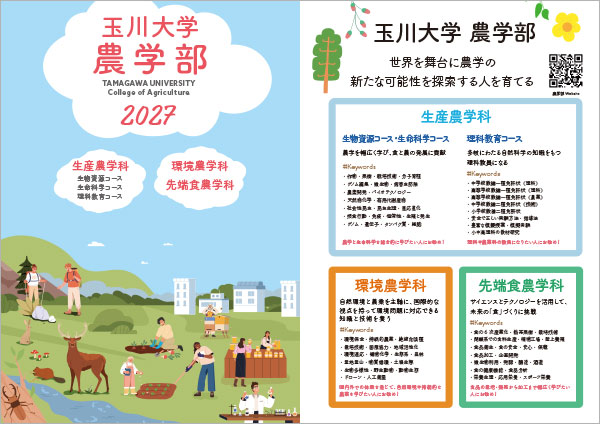 学部学科案内パンフレット