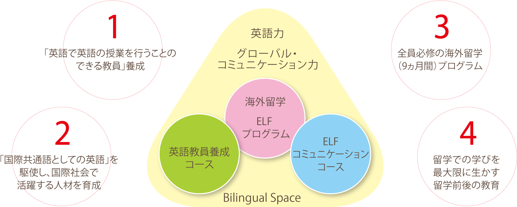 教員採用試験で高い合格率を達成！