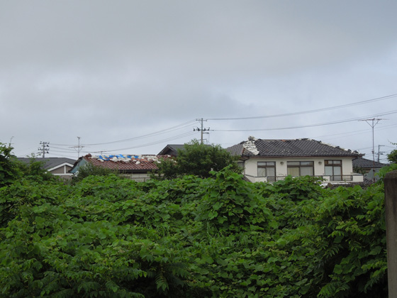 帰還困難区域だったために夜ノ森駅周辺の木々が延び放題のために、２階しか見えない住宅