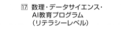 　17 数理・データサイエンス・AI教育プログラム（リテラシーレベル）